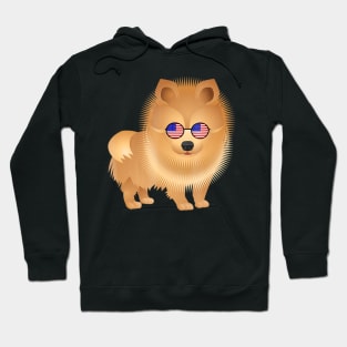 4Th July Pomeranian Dog American Flag Sunglasses Hoodie